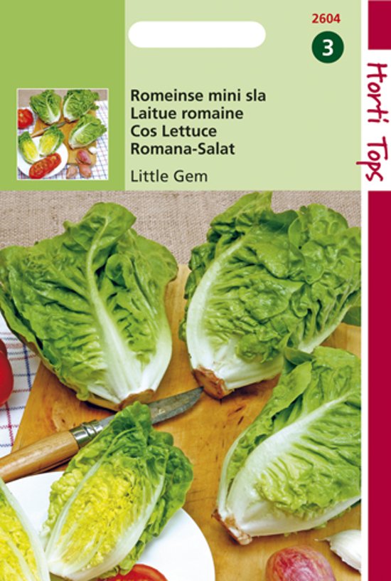 Roman Lettuce Little Gem (Lactuca) 1200 seeds